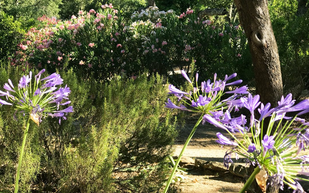 Haus & Garten